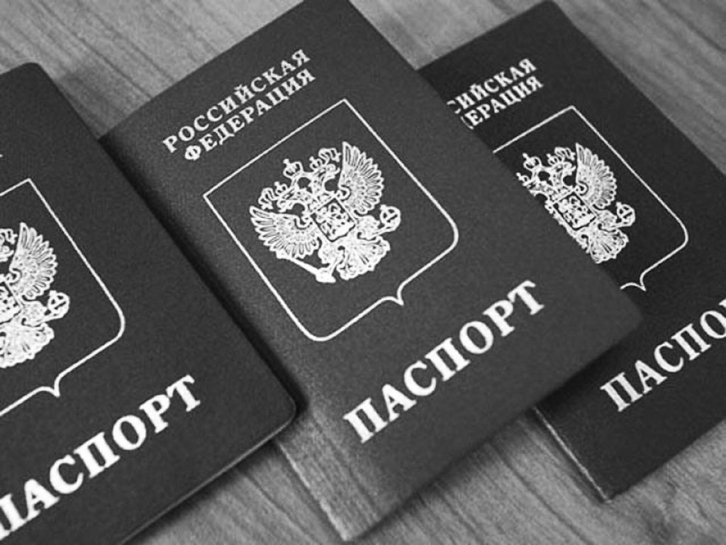 pasport_web